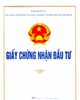 Giấy chứng nhận đầu tư của HEPZA